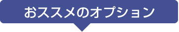 おススメのオプション